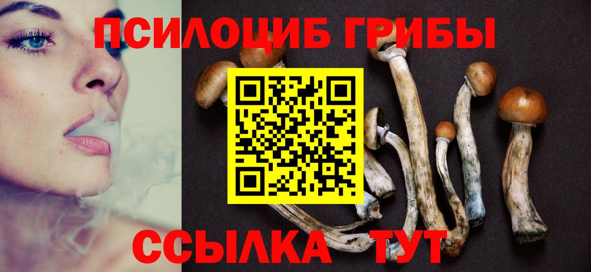 Нижний Тагил  Галлюциногенные грибы GOLDEN TEACHER  наркошоп  Вход с VPN  Галлюциногенные грибы прущие грибы 